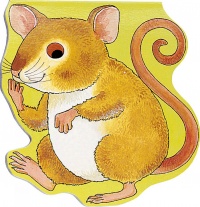 Cover image for Pocket Mouse