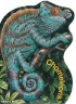 Cover image for Chameleons