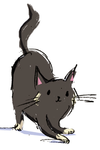 Illustration of a cat from Kate's book 